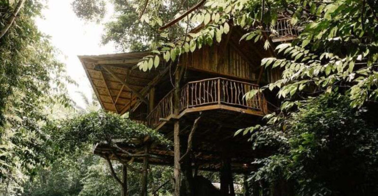 20 Amazing Treehouses You Can Actually Live In