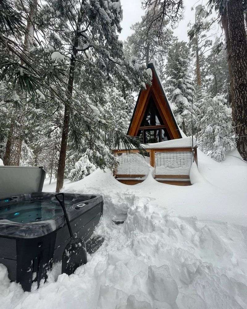 Bearfoot Cabin