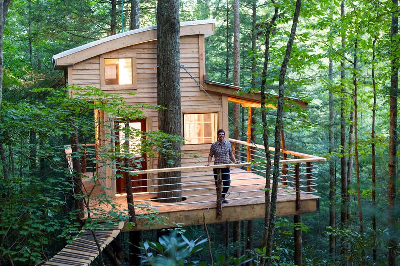 Forest Canopy Retreat