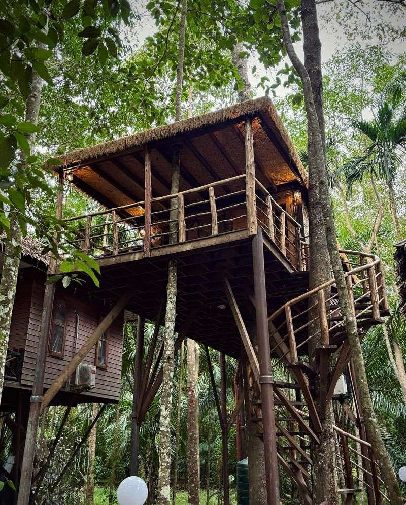 Jungle Explorer's Lodge