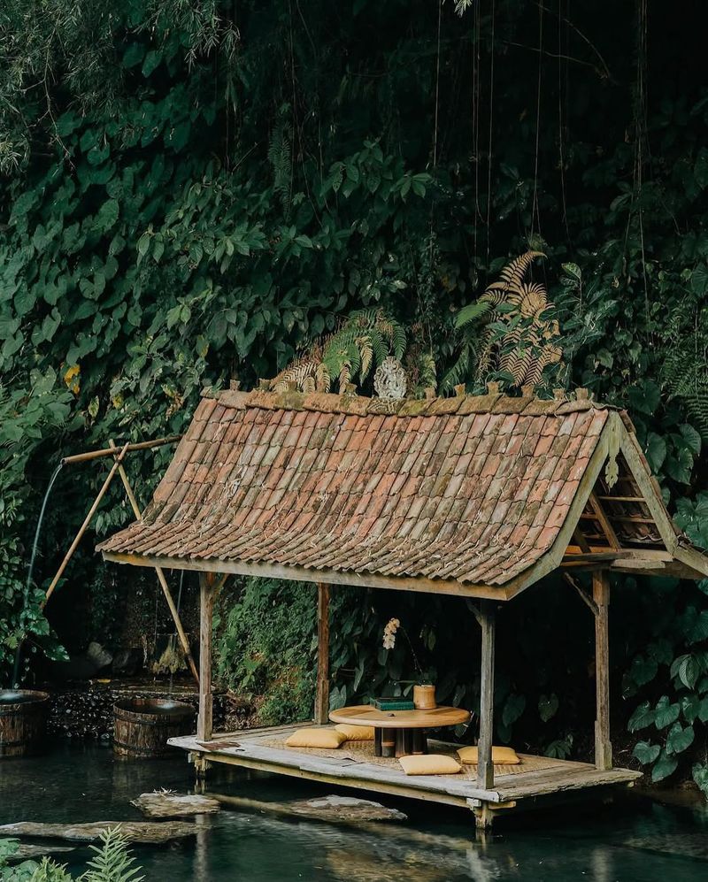 Jungle Hideaway