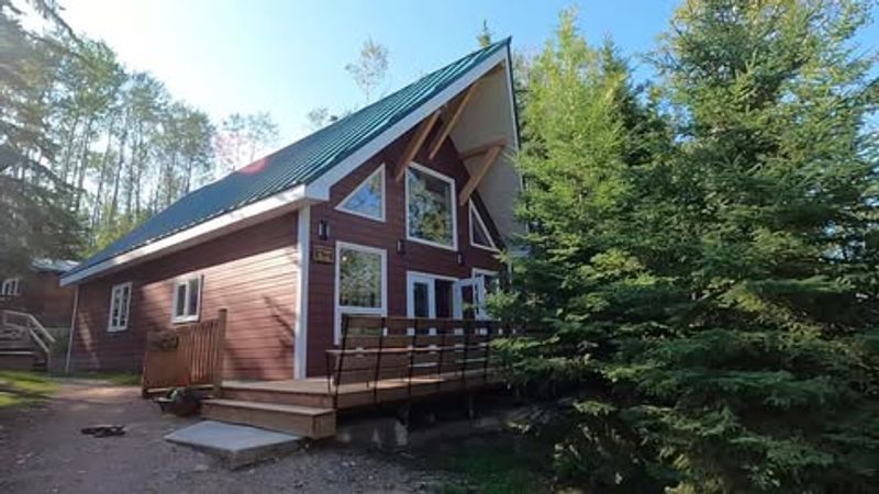 Silver Birch Cabin