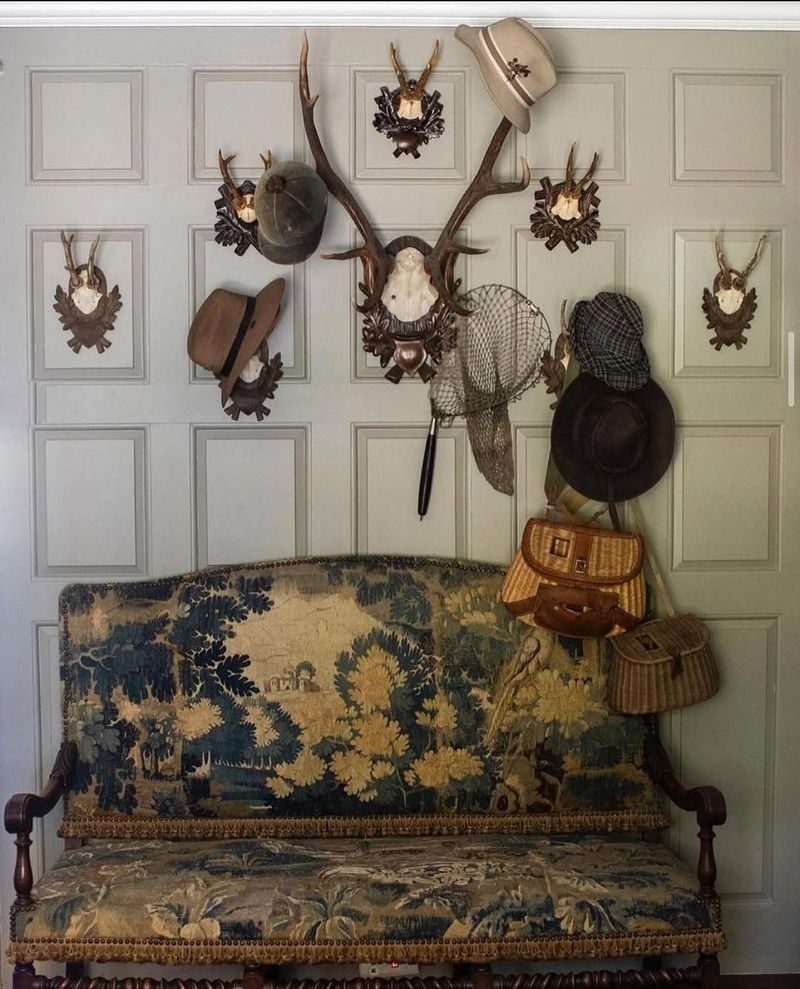 Taxidermy Collection