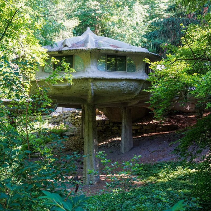 The Mushroom House - USA