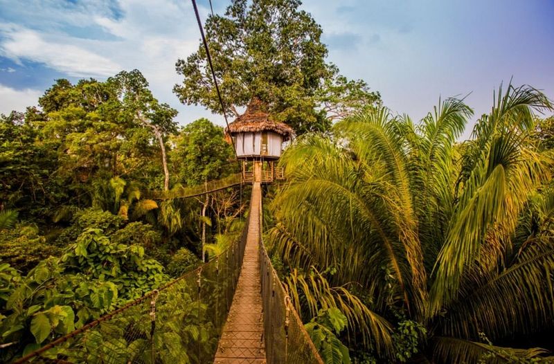 The Treehouse Lodge - Peru