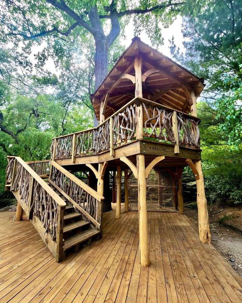 Treetop Zen Pavilion