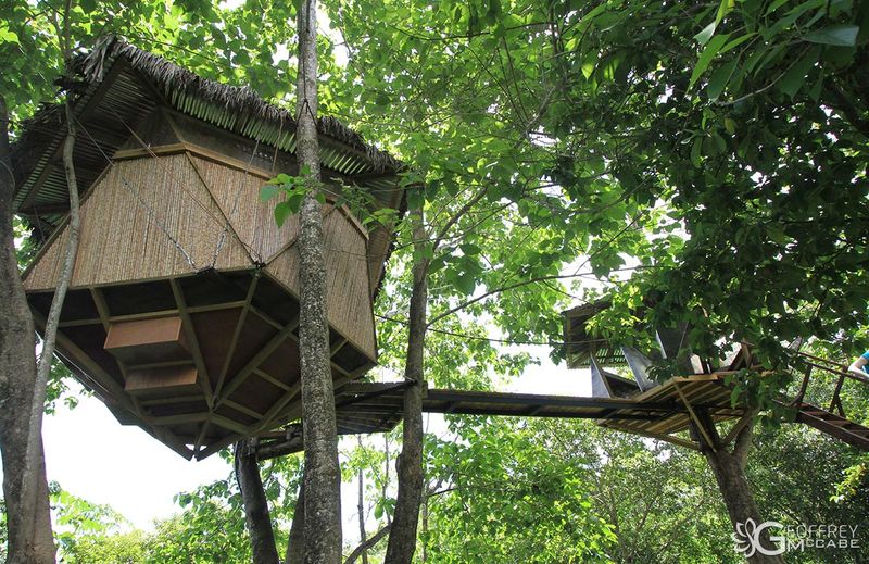 Tropical Canopy Hut