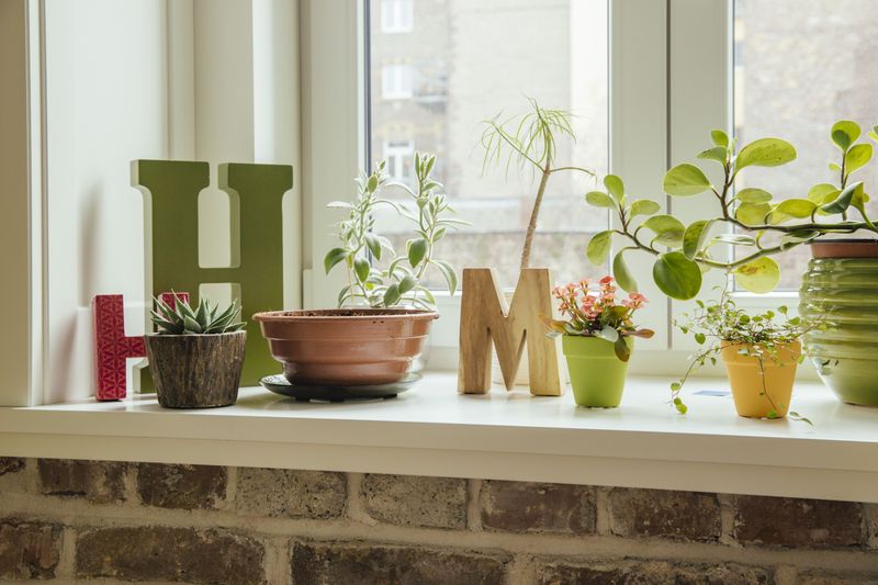 Window Sills