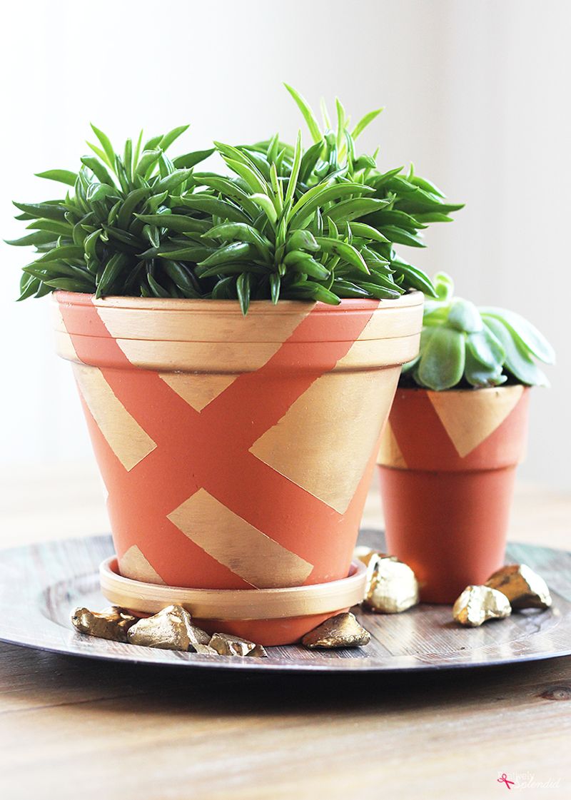 Terracotta Pot Color Block