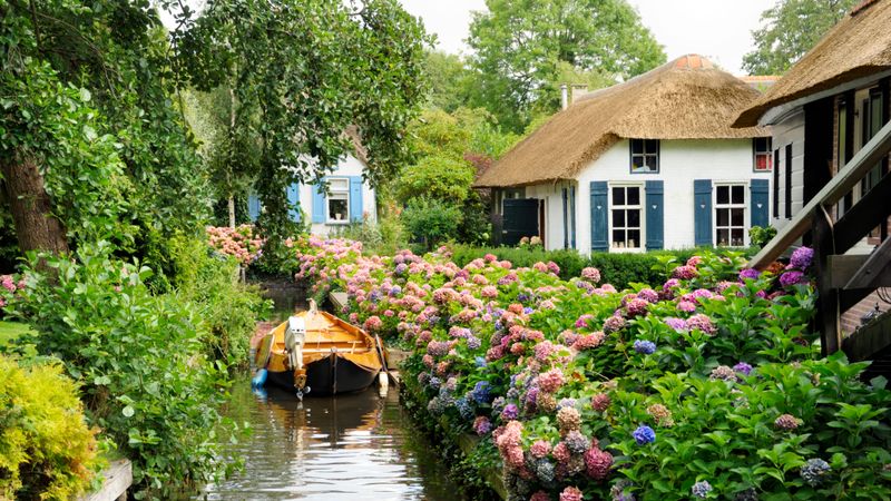 Dutch Country Farmhouses of Holland