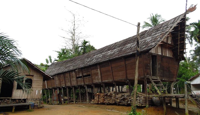 Thatched Longhouses of Borneo