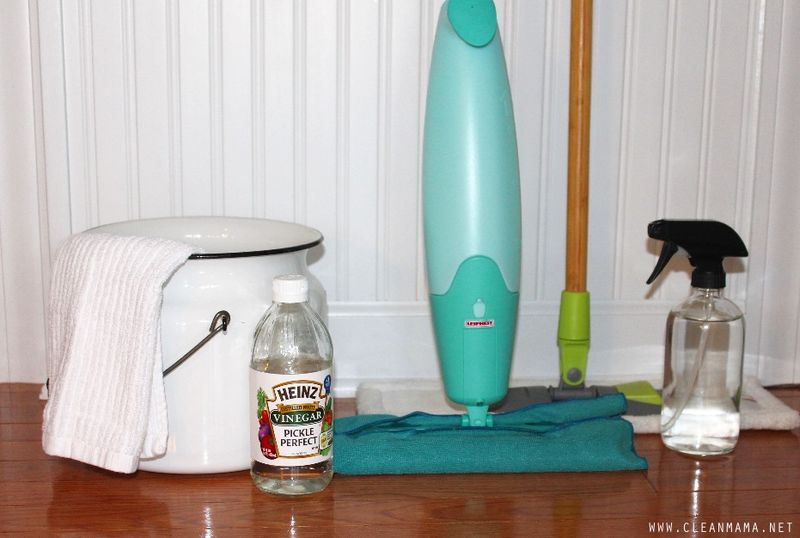 Apply a Vinegar and Water Spray