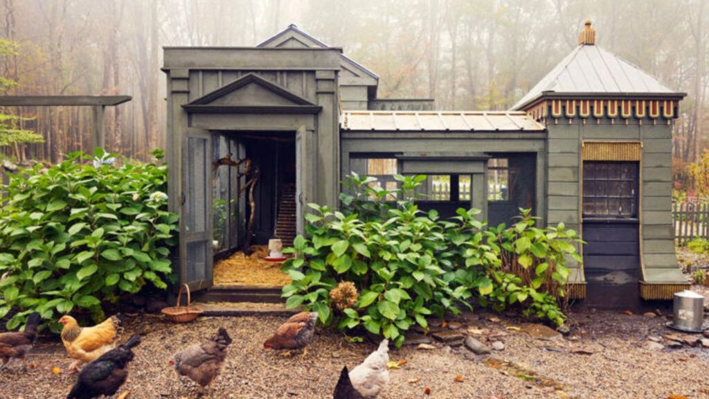 chicken coop in the garden