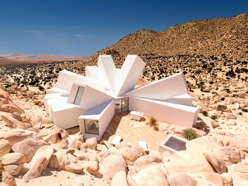 Starburst in Joshua Tree