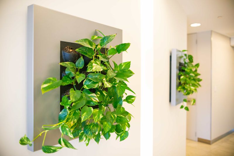 Vertical Garden Moments