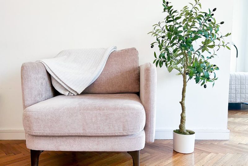 Fake Plants That Collect Dust