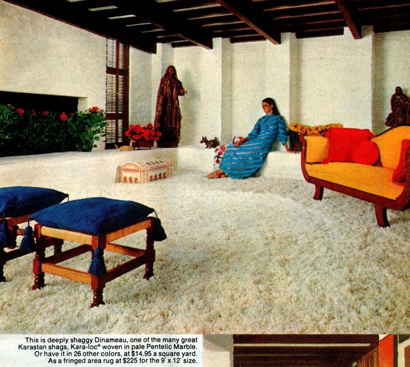 Shag Rugs