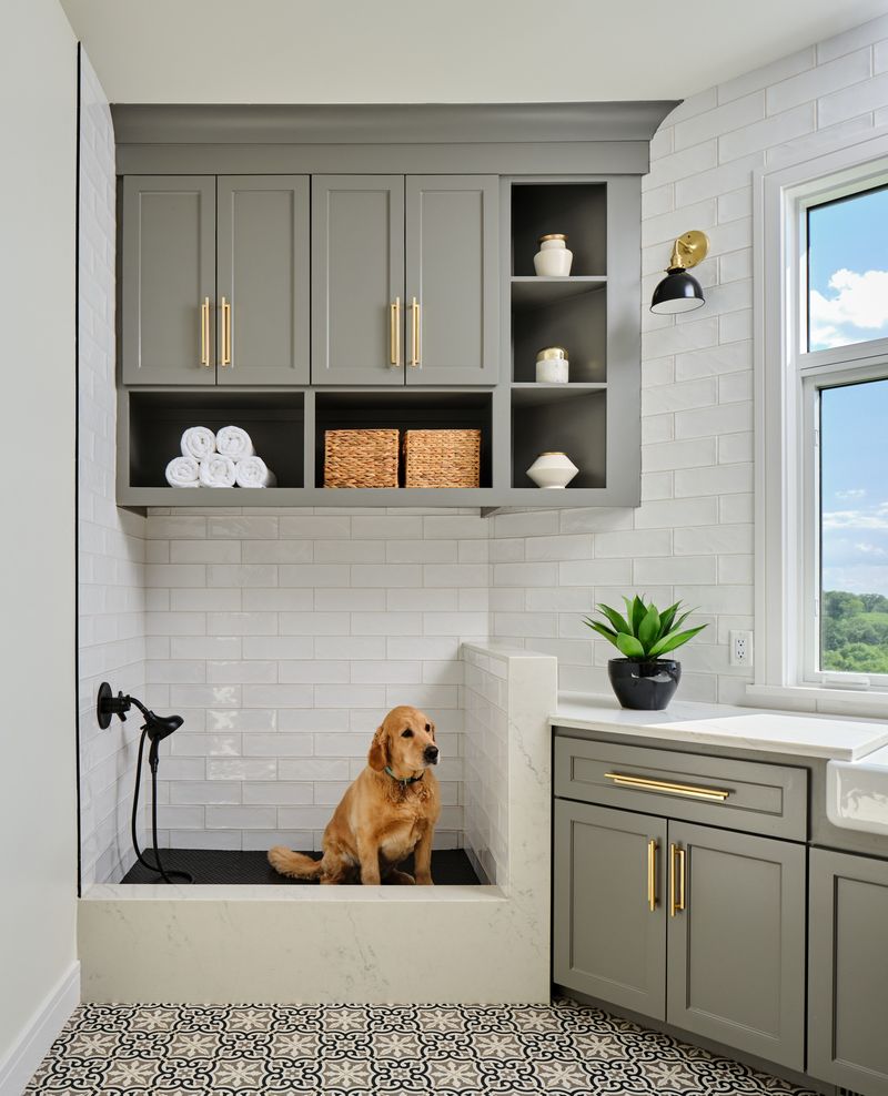 Pet-Washing Station Integration