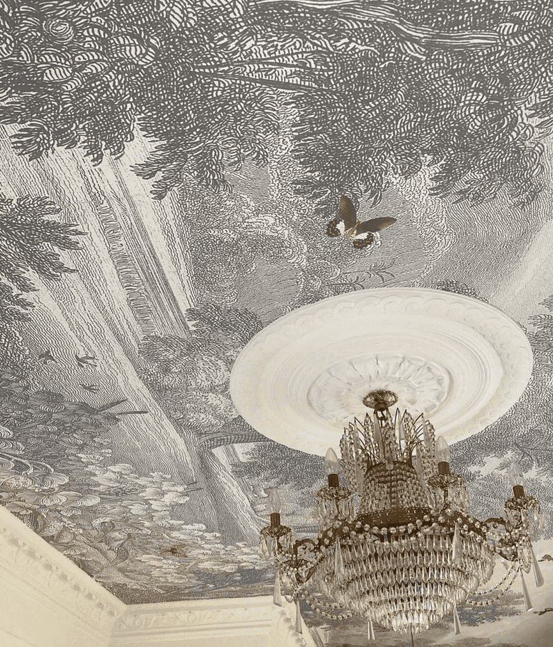 Wallpaper Drama Ceiling
