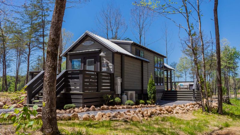 The Swingin' Swayback: Tennessee's Tilting Wonder
