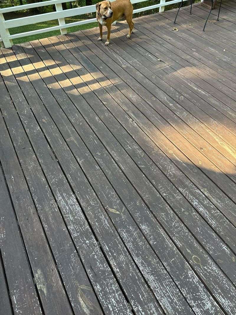 Shows Dirt and Scratches Easily