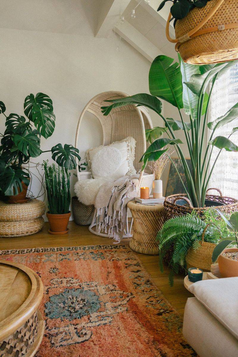 Tall houseplants