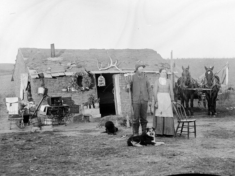 A Log Cabin Under Construction, 1880s