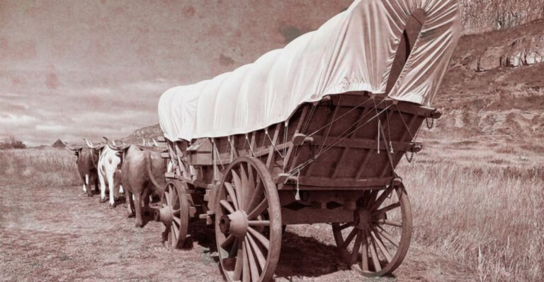15 Incredible Vintage Photos Of America’s Pioneering Homesteaders