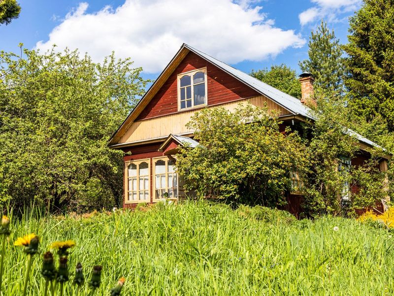 Faded or damaged landscaping
