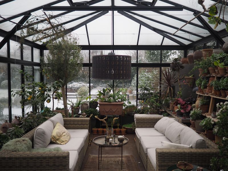 Greenhouse Meets Sitting Room