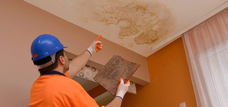 Water stains or mold spots