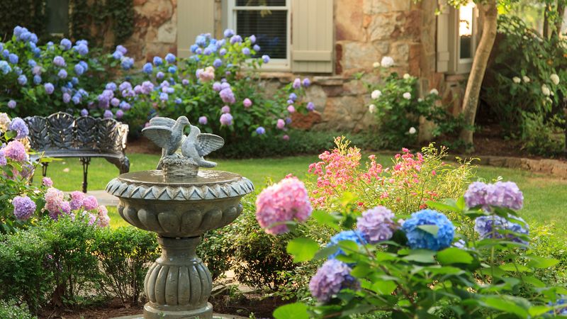 Install a Birdbath or Feeder
