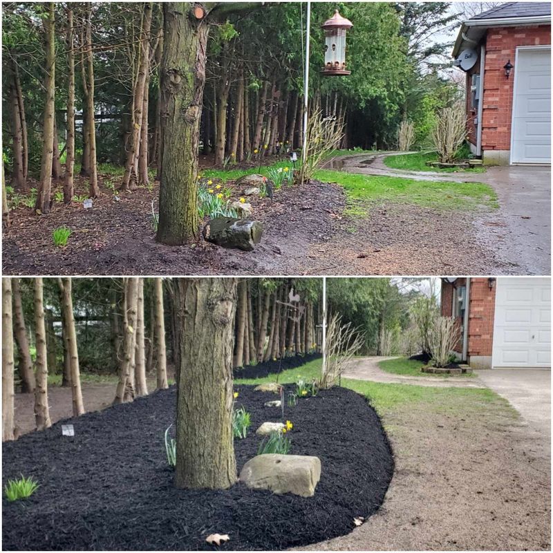 Fresh Mulch, Major Impact