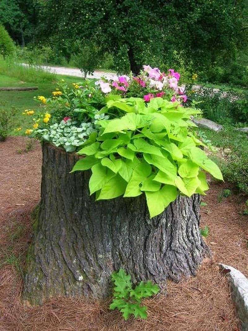 Painted Tree Stumps as Planters
