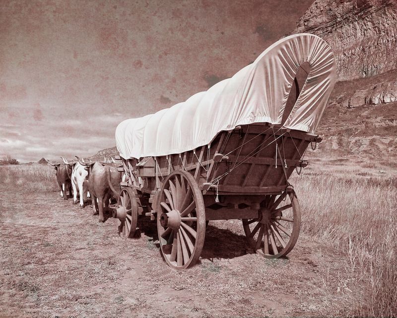 Covered Wagons Rolling Across the Plains