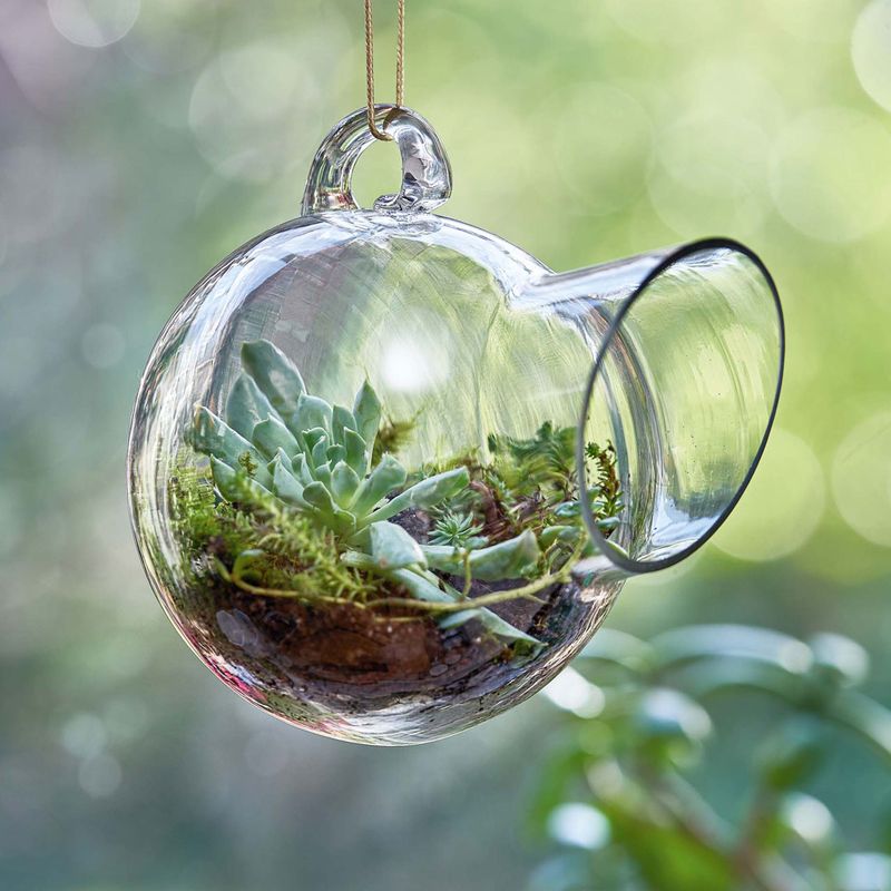Hanging Terrariums