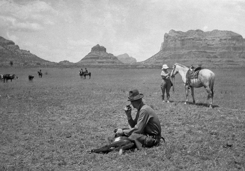 A Lone Rider Surveying Open Land