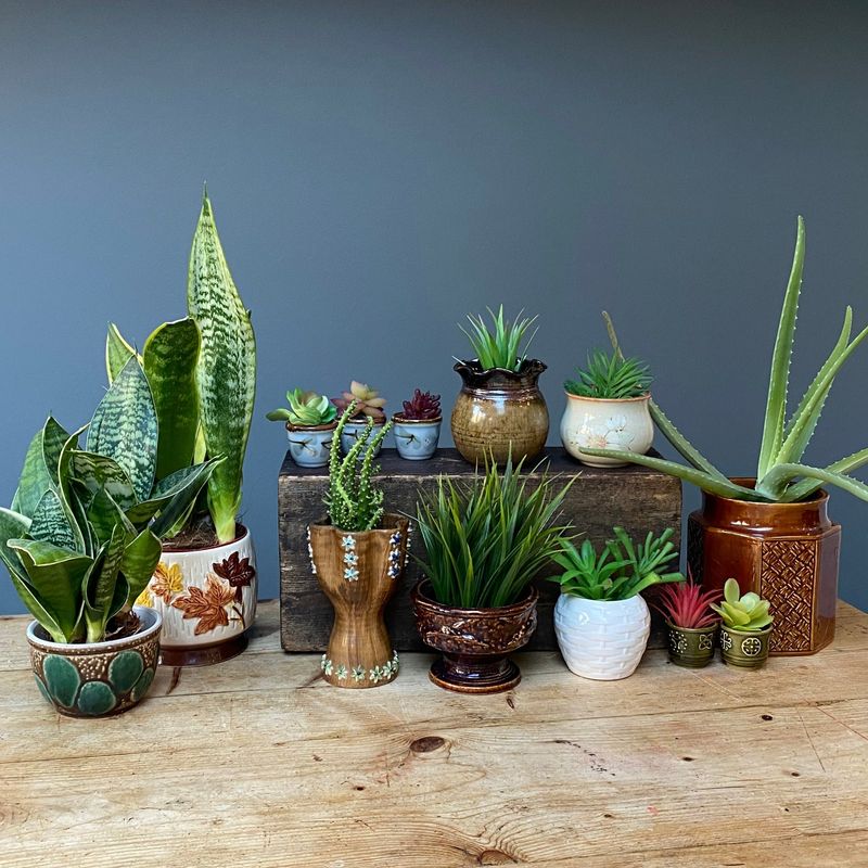 Ceramic Planters