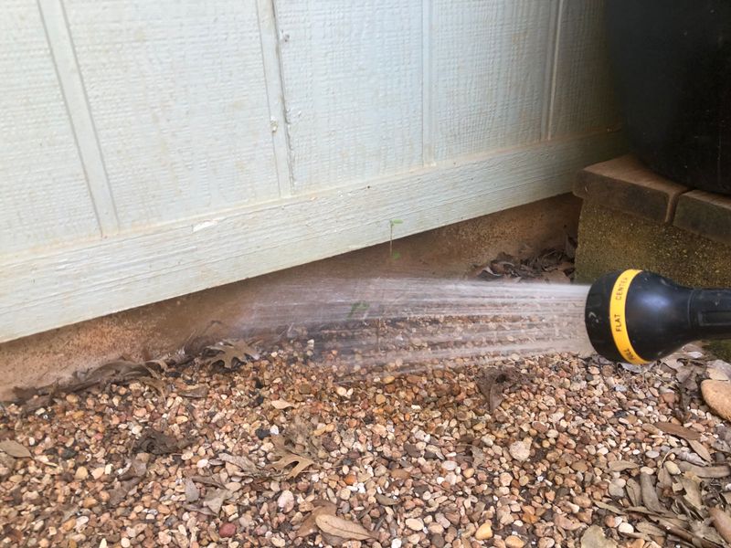 Overwatering Your Foundation