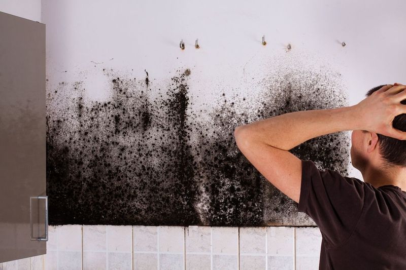Mold or mildew presence