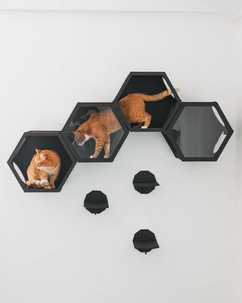 Floating shelves for cats that mimic modern art