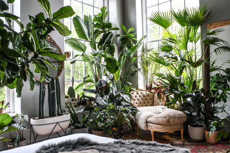 Plants grown slowly into statement greenery instead of instant fake versions