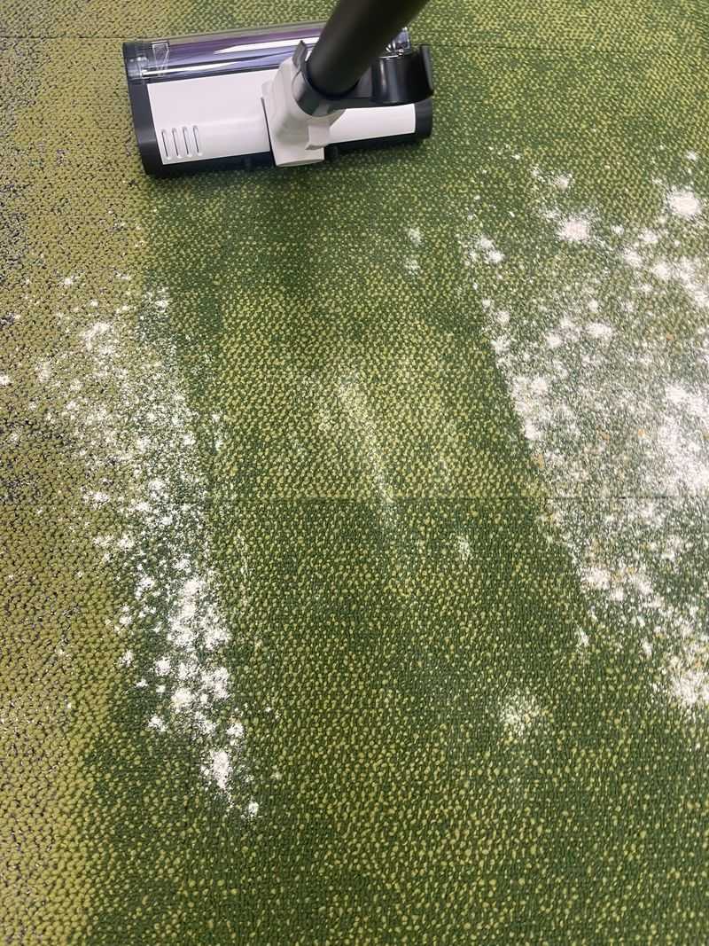 Sprinkle Baking Soda On Rugs Before Vacuuming